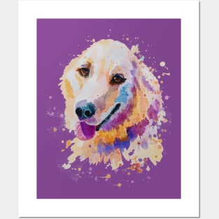 Golden retriever portrait Posters and Art